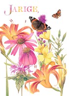 voor de jarige gekleurde bloemen en vlinders